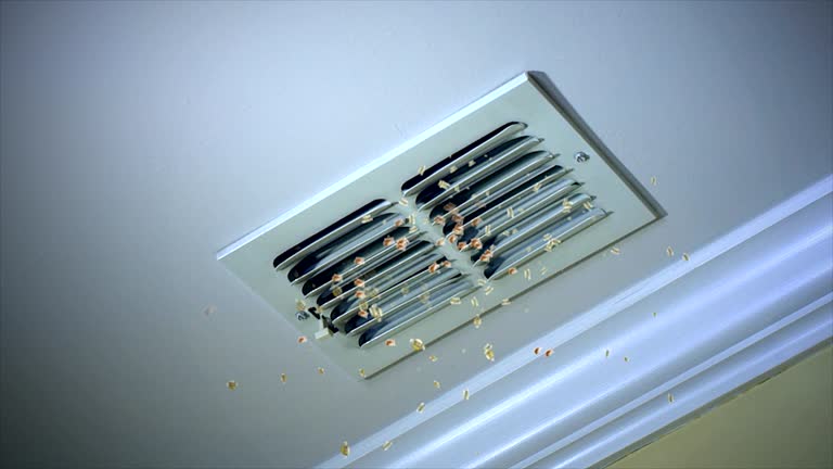 Best Best Air Duct Cleaning Company  in North Liberty, IN