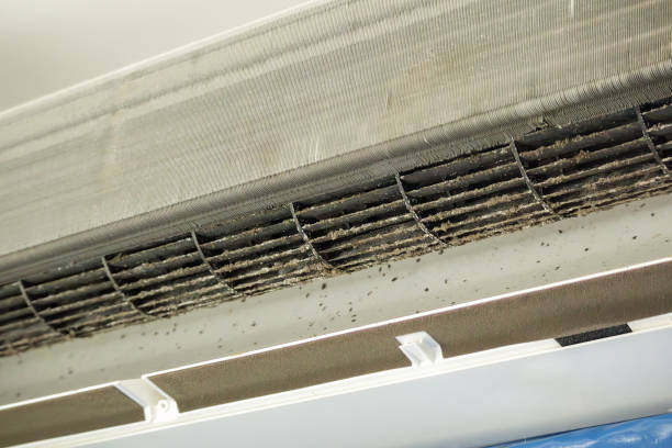 Best HVAC Duct Inspection Services  in North Liberty, IN